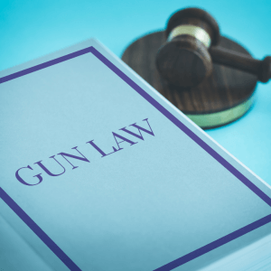 The image shows a book with the title "Gun Law" and next to it is a gavel.