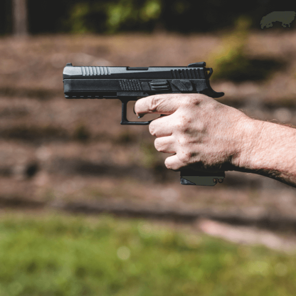 Can You Get Your Concealed Carry Permit Online?